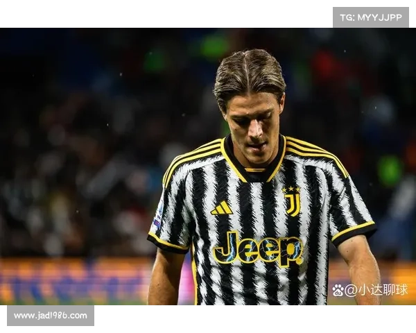 尤文图斯欧冠征程回顾两度称王再现意甲豪门辉煌历史